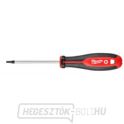 Milwaukee TRI-LOBE csavarhúzó T20x100- 1db gallery main image