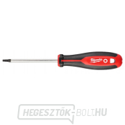 Milwaukee TRI-LOBE csavarhúzó T25x100- 1db gallery main image