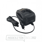 Riwall PRO RAC 220 20 V-os töltő (gyors) Előnézet 