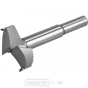 Fafűrész SK szeletekkel, O 40mm szár 10mm Fafűrész SK szeletekkel, O 40mm szár 10mm gallery main image