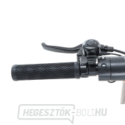 Elektromos robogó VeGA VIRON XL-700PRO WOOD náhled