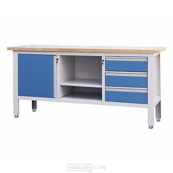 Workshop ponk Procarosa PROFI311