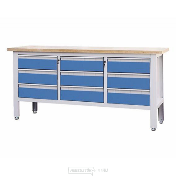 Workshop ponk Procarosa PROFI9