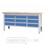 Workshop ponk Procarosa PROFI9 Workshop ponk Procarosa PROFI9 gallery main image