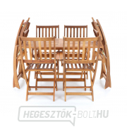 PRINCE VEGA 6 PRINCE VEGA 6 náhled