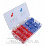 Gyorscsatlakozók elektromos vezetékek csatlakoztatásához, átmérő 0,5 - 2,5 mm, 50 darabos készlet - ASTA gallery main image