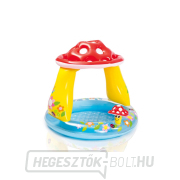 Felfújható medencés varangyos szék baldachinnal - 57114 Felfújható medencés varangyos szék baldachinnal - 57114 gallery main image