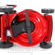 VeGA 46 HWXV 6 az 1-ben benzinmotoros fűnyírógép náhled