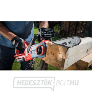 Láncfűrész, 30cm, 20V Li-ion, 2000mAh náhled