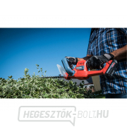 Akkus sövénynyíró, 20V Li-ion, 2000mAh Akkus sövénynyíró, 20V Li-ion, 2000mAh náhled