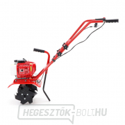 Kultivátor Vega GT 4452 benzin  Előnézet 