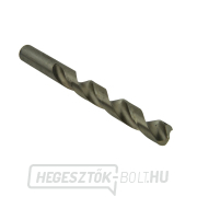 Ezüst színű fém fúrófej készlet GEKO 1-13mm/25 db (20 db) náhled