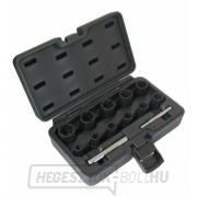 Speciális dugókulcsok sérült csavar- és anyafejekhez, 8 - 21 mm, 13 darabos készlet - ASTA gallery main image