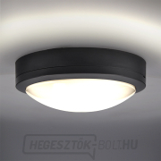 Solight LED kültéri világítás szenzorral Siena, szürke, 20W, 1500lm, 4000K, IP54, 23cm náhled