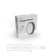 Solight LED kültéri világítás szenzorral Siena, szürke, 20W, 1500lm, 4000K, IP54, 23cm náhled