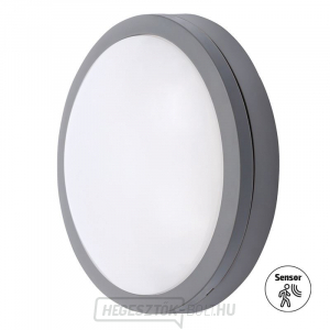 Solight LED kültéri világítás szenzorral Siena, szürke, 20W, 1500lm, 4000K, IP54, 23cm gallery main image