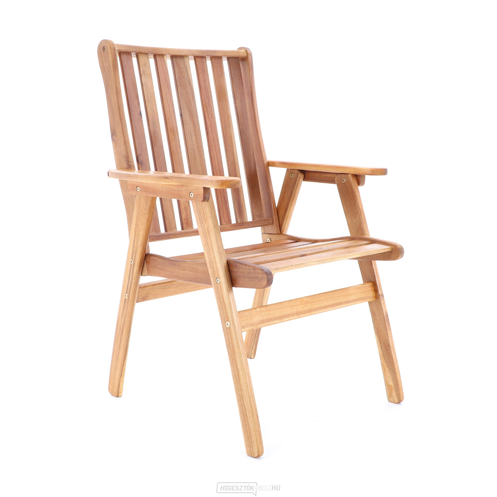 NEVADA VeGA 6 - elnök