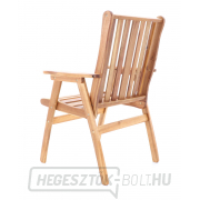 NEVADA VeGA 6 - elnök náhled