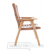 NEVADA VeGA 6 - elnök náhled