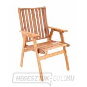 NEVADA VeGA 6 - elnök náhled