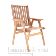 NEVADA VeGA 6 - elnök NEVADA VeGA 6 - elnök gallery main image