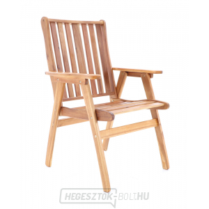 NEVADA VeGA 6 - elnök NEVADA VeGA 6 - elnök gallery main image