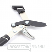 VERDEMAX olló 4178 teleszkópos. VERDEMAX olló 4178 teleszkópos. náhled