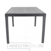 Kerti asztal IPAE PRINCE 150x90 Kerti asztal IPAE PRINCE 150x90 náhled