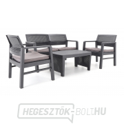 Kerti bútor IPAE FUJI DeLuxe Kerti bútor IPAE FUJI DeLuxe náhled