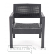 Kerti bútor IPAE FUJI DeLuxe Kerti bútor IPAE FUJI DeLuxe náhled