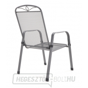 MFG ZINGST 4 PLUS - 140 MFG ZINGST 4 PLUS - 140 náhled