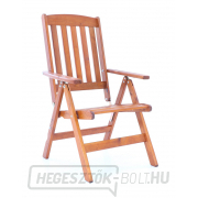 Fotel VeGA OSCAR 7-pos. Fotel VeGA OSCAR 7-pos. náhled