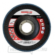Laminált penge HERMAN LR-10 AREA rozsdamentes acélhoz 115mm Z60 - 1 db gallery main image