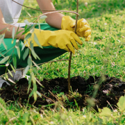 Scheppach EB 2000 talajfúrógép + 3 fúrószár náhled