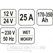 Töltő 25A 12/24V Előnézet 