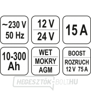 Digitális töltő indító indítóval 15A Előnézet 