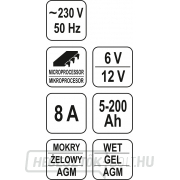 Töltő 8A 6/12V gél/processzor Előnézet 