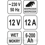 Töltő 12A 12V processzor Előnézet 