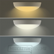Solight LED kültéri világítás állítható CCT-vel, 12W, 900lm, 22cm, 2in1 - fehér és fekete burkolattal Előnézet 