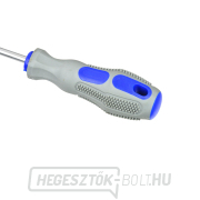 GEKO csavarhúzó készlet, kék-szürke - 10 db náhled