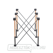 Dolgozó százlábú BORA 3x2 náhled