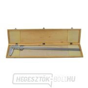 Tolómérő 0-600 mm x 0,05 egypofával (10) Előnézet 