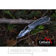 CATTARA BRIGHT összecsukható kés zárral 16,7cm náhled