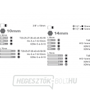 HEX-TORX-XZN bitek, 51 darabos készlet, 8818200 Előnézet 