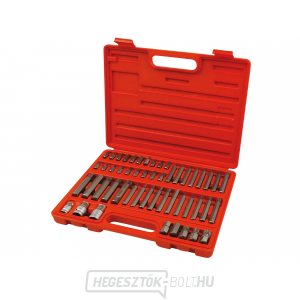 HEX-TORX-XZN bitek, 51 darabos készlet, 8818200 gallery main image