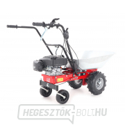 EUROSYSTEMS CARRY RATO 170 motoros kerék EUROSYSTEMS CARRY RATO 170 motoros kerék náhled