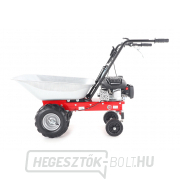 EUROSYSTEMS CARRY RATO 170 motoros kerék EUROSYSTEMS CARRY RATO 170 motoros kerék náhled