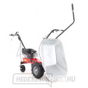 EUROSYSTEMS CARRY RATO 170 motoros kerék EUROSYSTEMS CARRY RATO 170 motoros kerék náhled