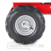 EUROSYSTEMS CARRY RATO 170 motoros kerék EUROSYSTEMS CARRY RATO 170 motoros kerék náhled