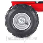 EUROSYSTEMS CARRY RATO 170 motoros kerék EUROSYSTEMS CARRY RATO 170 motoros kerék náhled